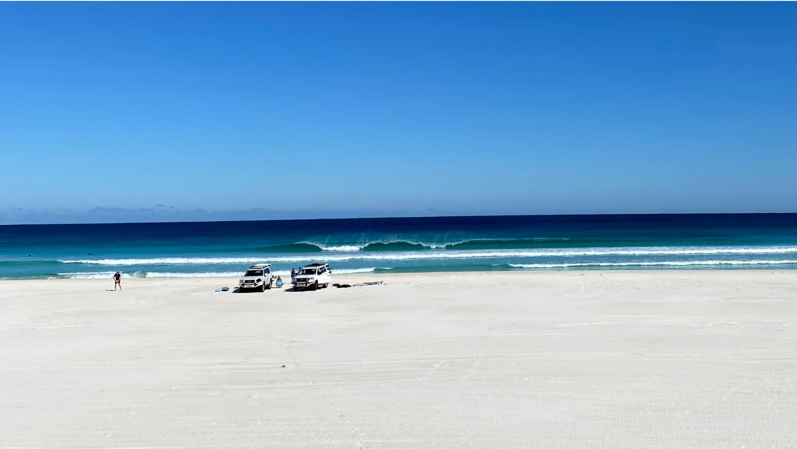 Skateboard Components | Bearings