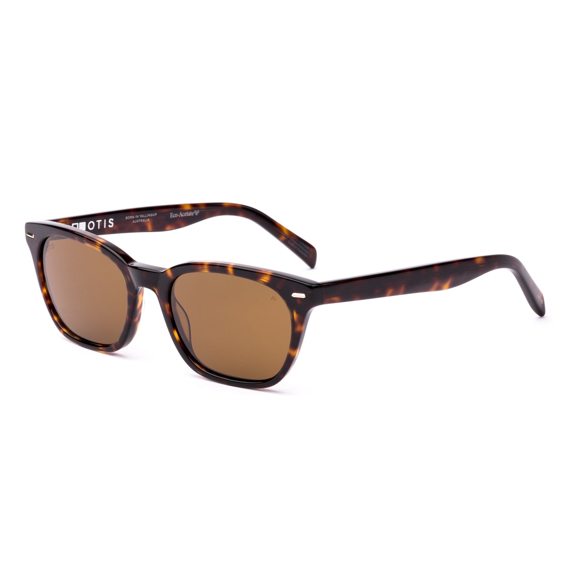 Otis | Chorus Sunglasses. Eco Havana Ray / Brown Polar